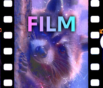 Filmrestauratie (kleurcorrectie en restauratie)
